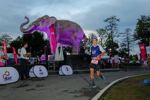 BIB: 
                            <button type="button" onclick="openModal(26529503)" class="btn btn-primary btn-sm float-right btn-popup" data-toggle="modal" data-target=".modal-high-quality">
                        <i class="fas fa-shopping-cart"></i> Add to Cart
                    </button>
                                            <button type="button" onclick="isThisMe(26529503, true)" class="btn btn-success btn-sm float-right btn-popup btn-isme hidden" data-toggle="tooltip" data-placement="bottom" title="นี่คือรูปของคุณใช่ไหม คลิกที่นี่เพื่อเอาเข้าอัลบั้ม">
                        <i class="fas fa-plus"></i> Add to album
                    </button>
                    <button type="button" onclick="isThisMe(26529503, false)" class="btn btn-warning btn-sm float-right btn-popup btn-isnotme hidden">
                        <i class="fas fa-ban"></i> Remove from album
                    </button>